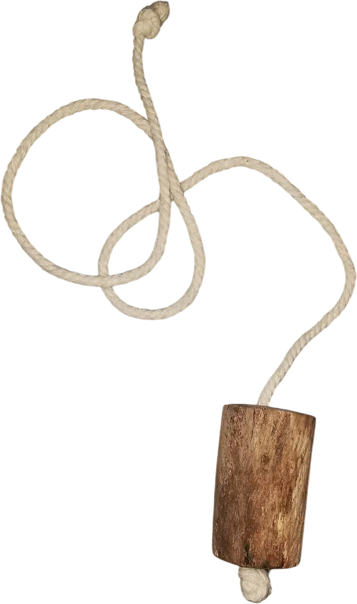 Sesión de diagnóstico con péndulo